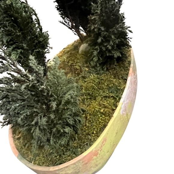FOREVER GREEN ART Potted Quartet Mini Cypress Tree In‎ Oval Terra Cotta Planter - Picture 8 of 12
